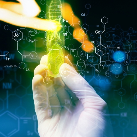 Biotech weltweit im Aufschwung